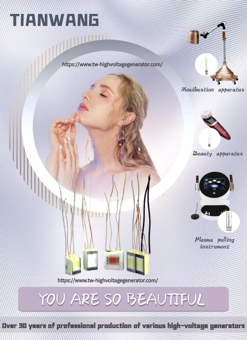 Arc High Voltage Generator Arc High Voltage Generator