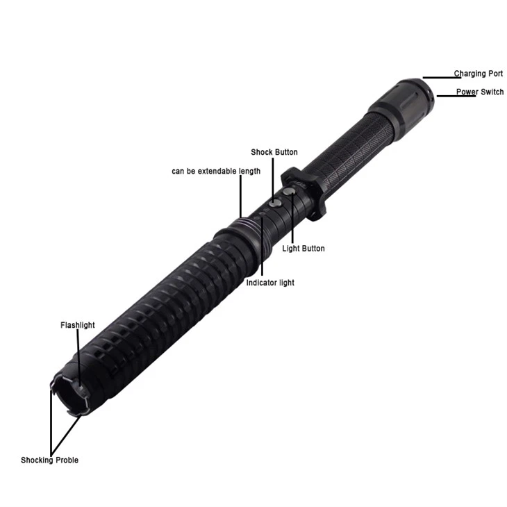 X10 police stun baton